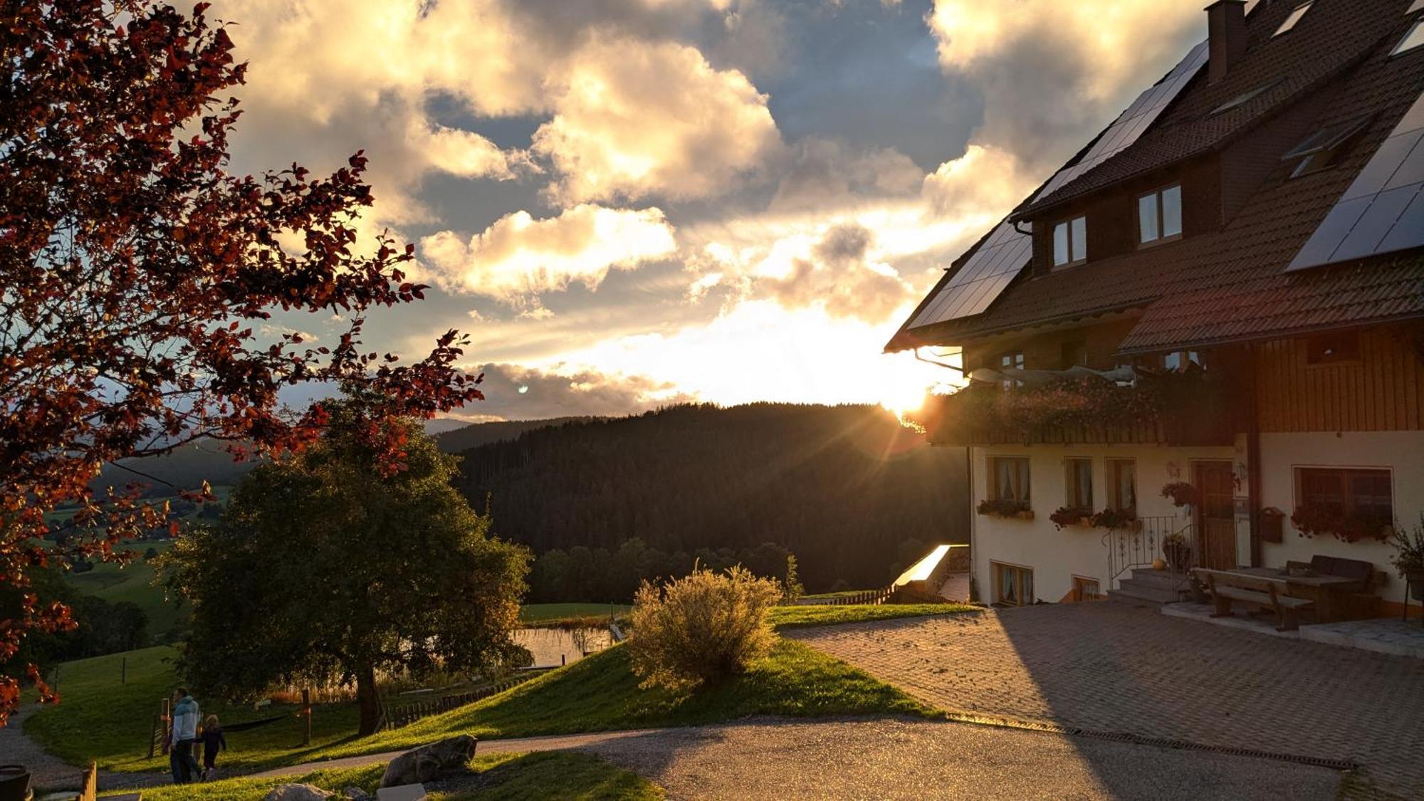 Haberjockelshof Erlebnishof Apartment ทิทิเซ-นอยชตัดท์ ภายนอก รูปภาพ